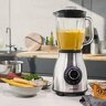 Vital Blender Pro