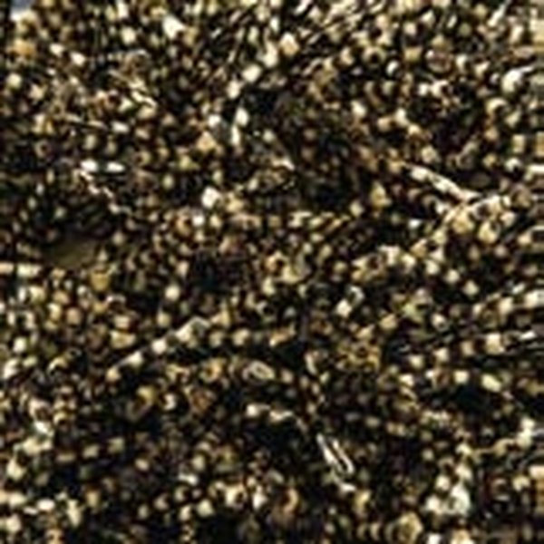Halı