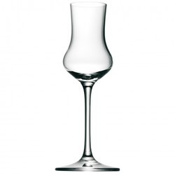 Fruıt Brandy Glass Easy Plus
