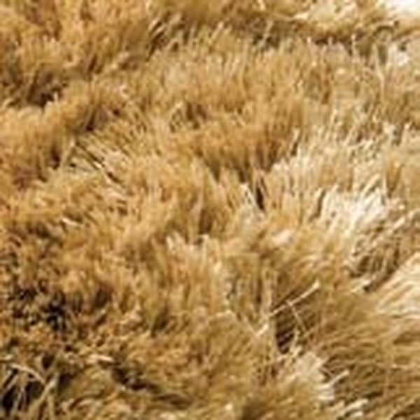Halı