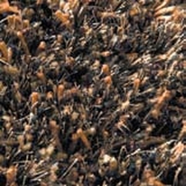 Halı